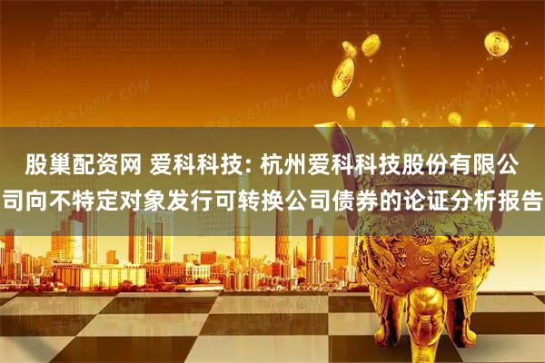 股巢配资网 爱科科技: 杭州爱科科技股份有限公司向不特定对象发行可转换公司债券的论证分析报告