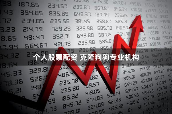 个人股票配资 克隆狗狗专业机构