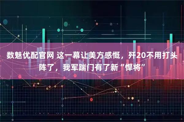 数魅优配官网 这一幕让美方感慨,歼20不用打头阵了,我军踹门有了新“悍将”